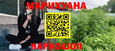 гидропоника Будённовск