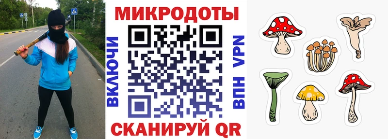 Псилоцибиновые грибы Psilocybine cubensis  Ессентуки 