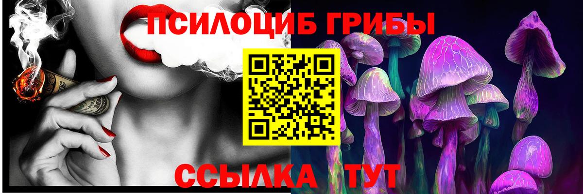 Галлюциногенные грибы Psilocybe  Вход с VPN  Ессентуки  Псилоцибиновые грибы Psilocybe 