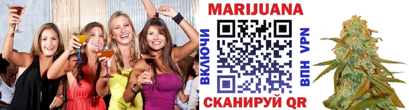 Бошки Шишки план  наркотики  Ессентуки 